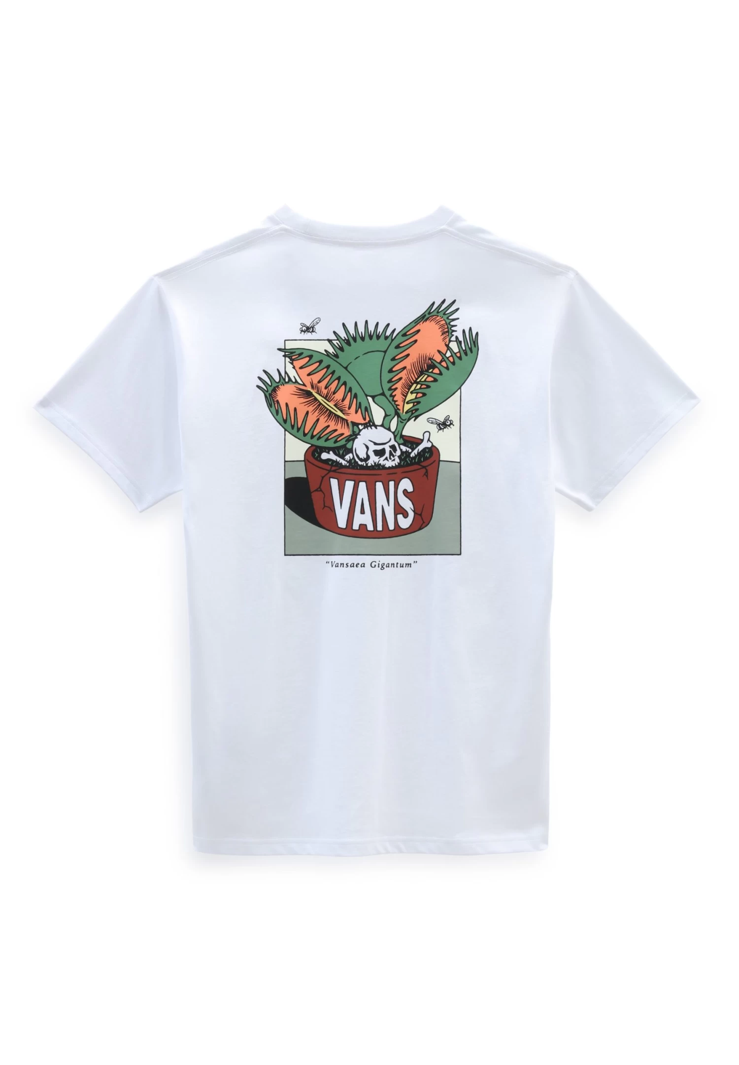 Vans Trap Planter Ii - T-Shirt Print - White 2 Vans Trap Planter Ii - T-Shirt Print - White - Afbeelding 2