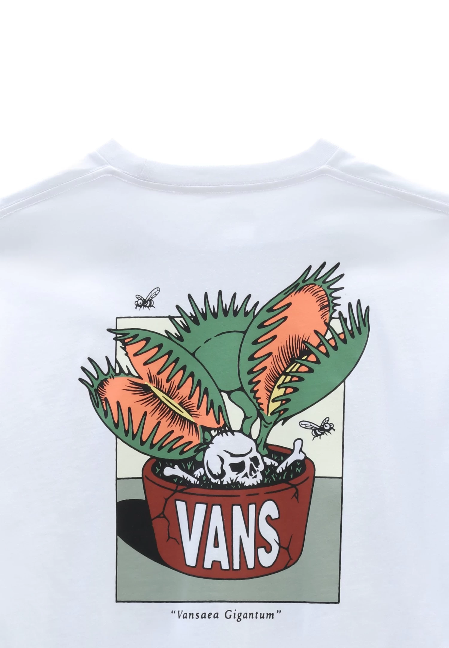 Vans Trap Planter Ii - T-Shirt Print - White 4 Vans Trap Planter Ii - T-Shirt Print - White - Afbeelding 4